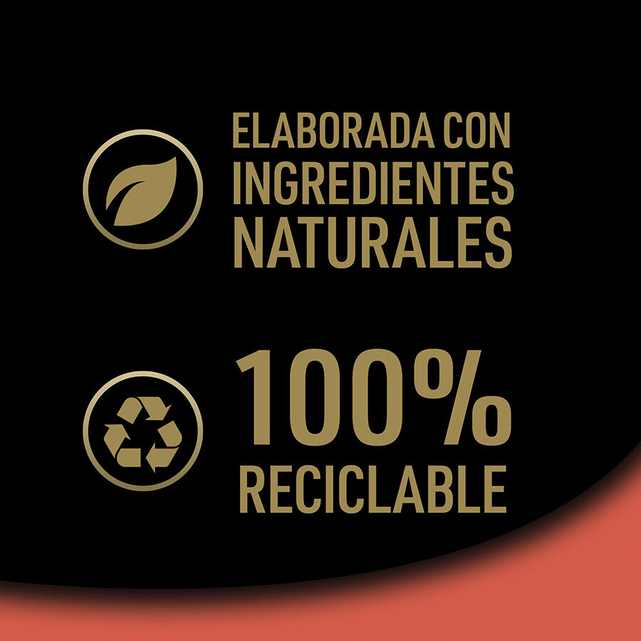 28 tarrinas x 150 g (20 + 8 tarrinas &iexcl;gratis!) Cesar Buey Tarrina en Pat&eacute; para Perros, , large Imagen numero 7